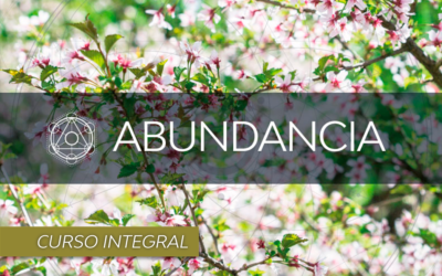 Curso de abundancia